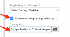 GA ID eintragen - gtm